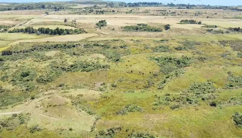 980 Wilsons Lead Road, Cape Foulwind