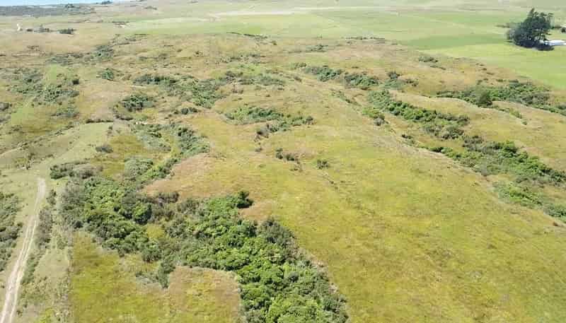 980 Wilsons Lead Road, Cape Foulwind