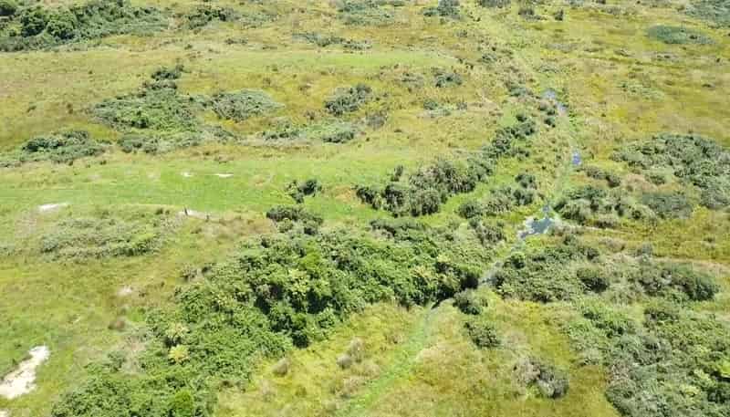 980 Wilsons Lead Road, Cape Foulwind