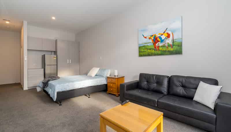 Room 1/5 Clark Street, Dunedin Central