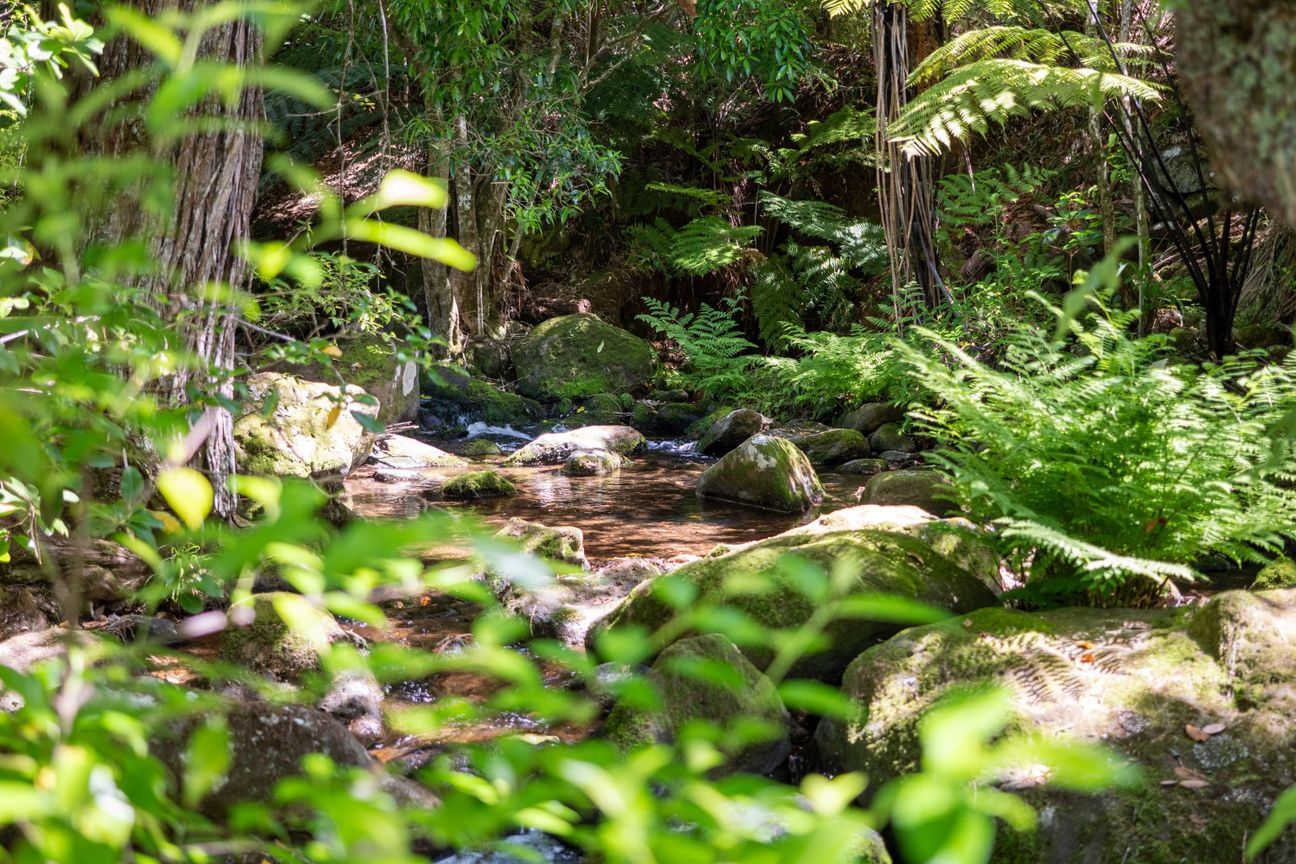 Lifestyle Sanctuary in Kerikeri - Fler