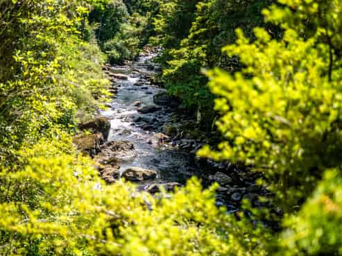 19 Stoney Brook Lane, Kerikeri