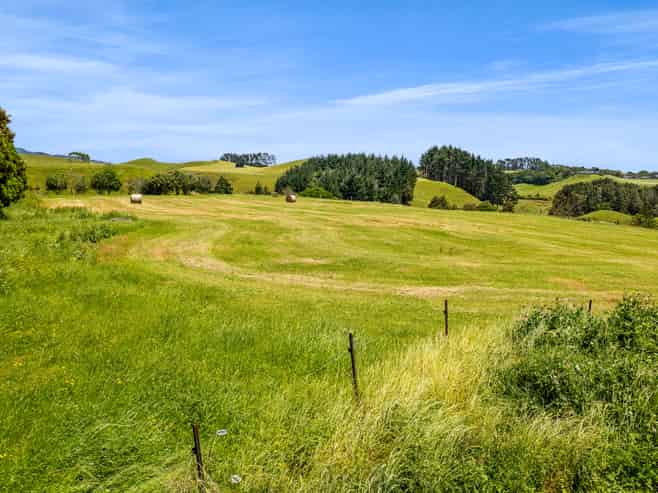 160 Sealy Road, Omata