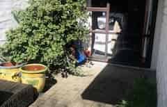 53  Cambria Street, The Wood