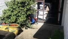 53  Cambria Street, The Wood