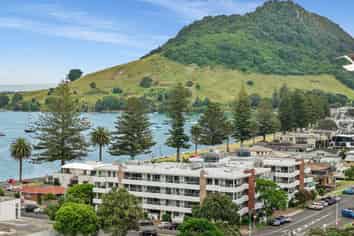 310/36 Victoria Road, Mount Maunganui