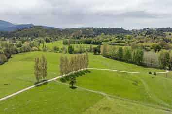 98 Thorpe-Orinoco Road, Ngatimoti