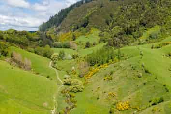 98 Thorpe-Orinoco Road, Ngatimoti