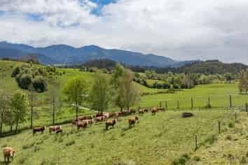 98 Thorpe-Orinoco Road, Ngatimoti