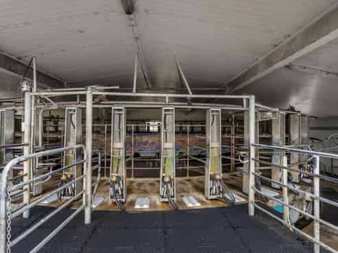 165 Motu Road, Opotiki