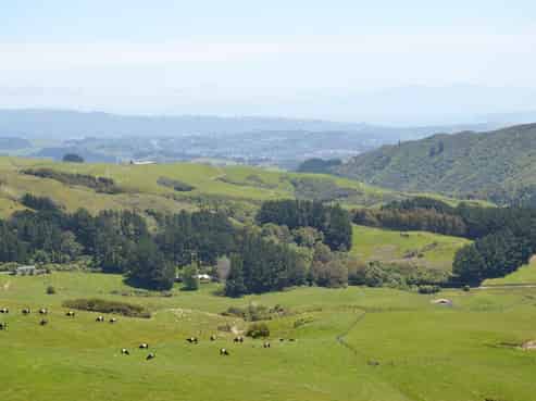 492 Moonshine Hill Road, Moonshine Valley