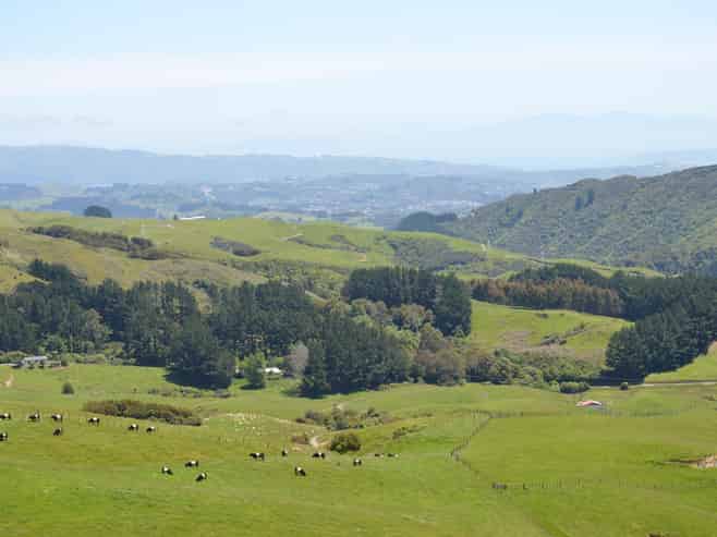 492 Moonshine Hill Road, Moonshine Valley