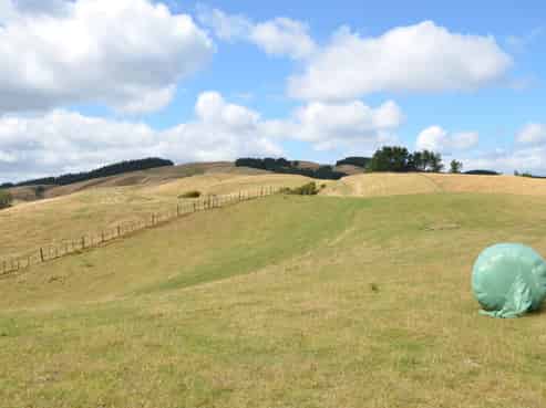 492 Moonshine Hill Road, Moonshine Valley