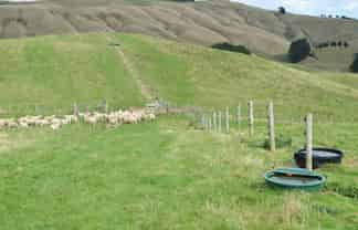 492 Moonshine Hill Road, Moonshine Valley