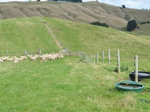 492 Moonshine Hill Road, Moonshine Valley