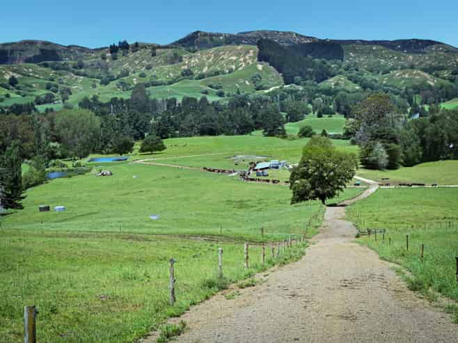 108 Sandy Creek Road, Tutira