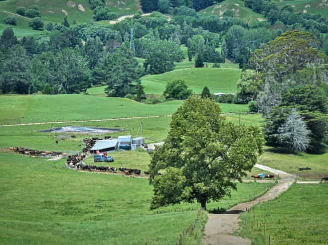 108 Sandy Creek Road, Tutira