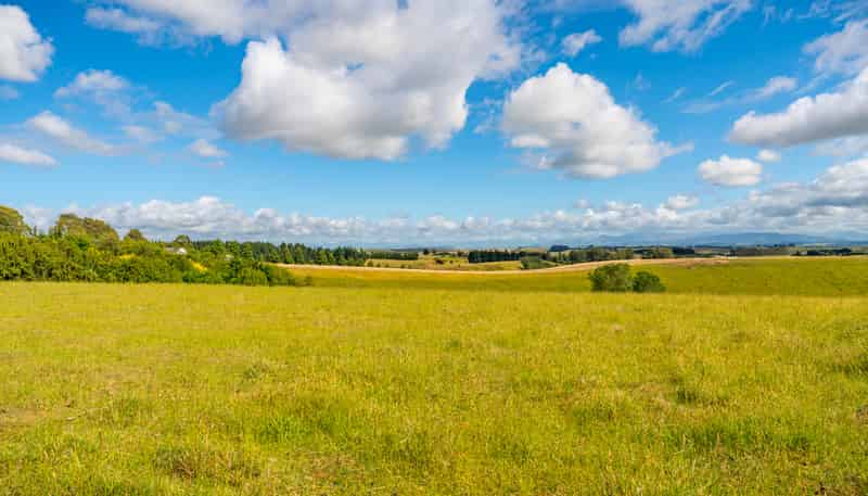  Rolling Ridges Road, Levels