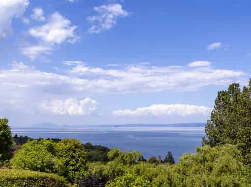 17 Kamahi Terrace, Omori