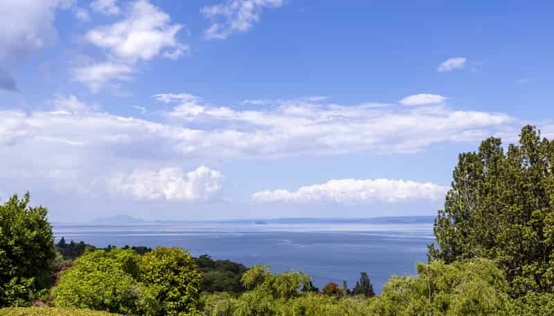 17 Kamahi Terrace, Omori