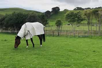 Lot 2 DP480579 South Head Road, South Head