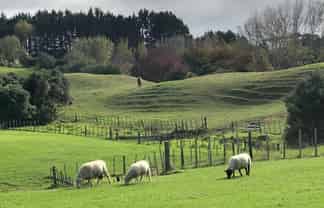 Lot 2 DP480579 South Head Road, South Head