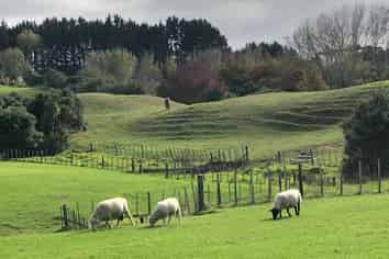 Lot 2 DP480579 South Head Road, South Head