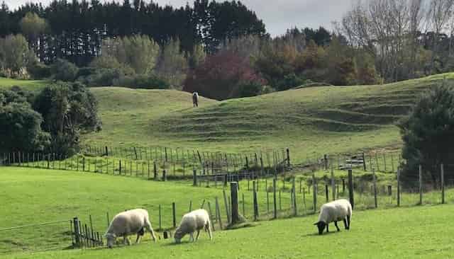 Lot 2 DP480579 South Head Road, South Head