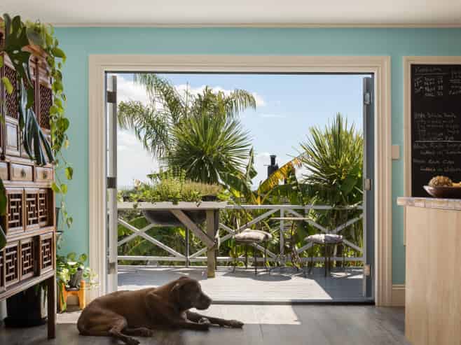 504 Sealey Street, Thames