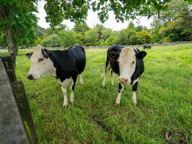 524 Ngunguru Road, Glenbervie