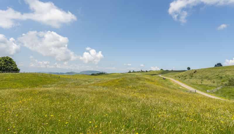 1461 Poihipi Road, Oruanui