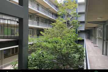 Auckland - Address withheld