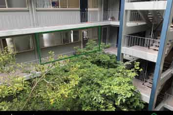 Auckland - Address withheld