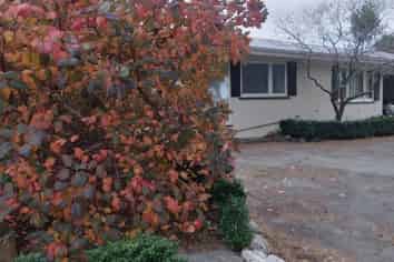 Otago - Address withheld