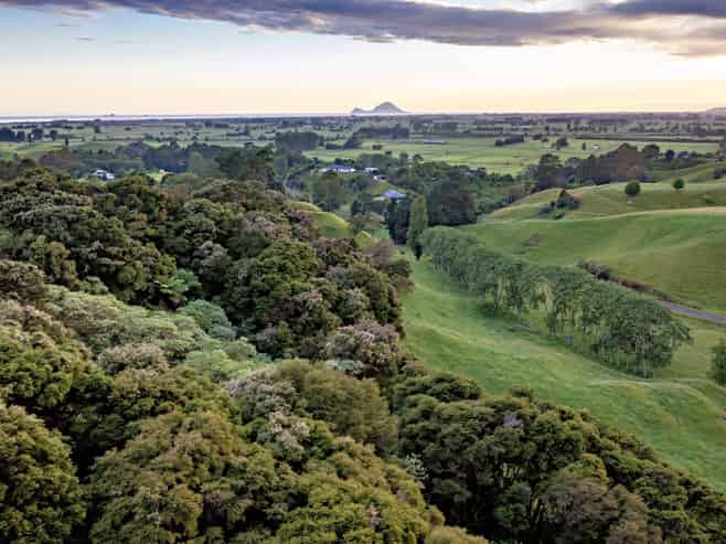 70B and C Withy Road, Manawahe