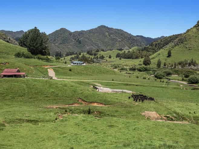 2060 Motu Road, Opotiki