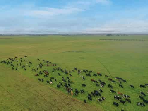  Burnham Road, Temuka