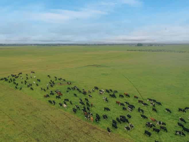  Burnham Road, Temuka