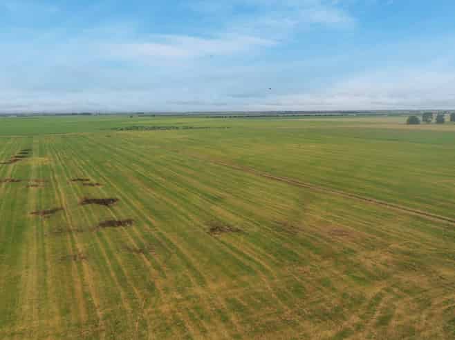  Burnham Road, Temuka