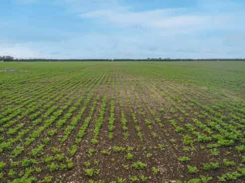  Burnham Road, Temuka