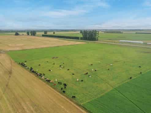  Burnham Road, Temuka