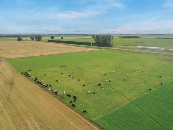  Burnham Road, Temuka