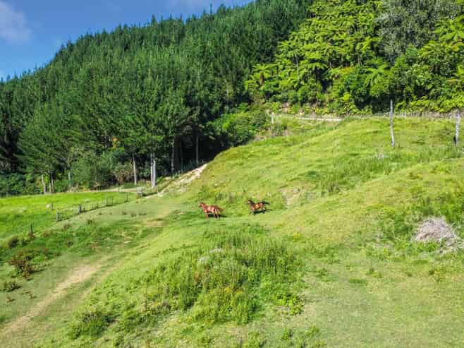 109 McIvor Road, Rotoma