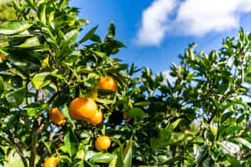 52B Hooks and Halls Road, Waimamaku