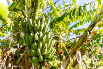 52B Hooks and Halls Road, Waimamaku