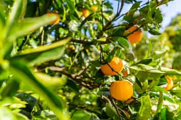 52B Hooks and Halls Road, Waimamaku