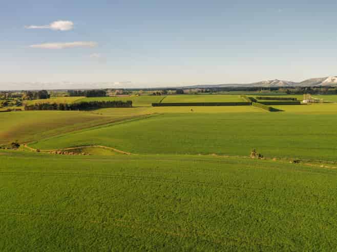 Lot 3 Hook School Road, Makikihi