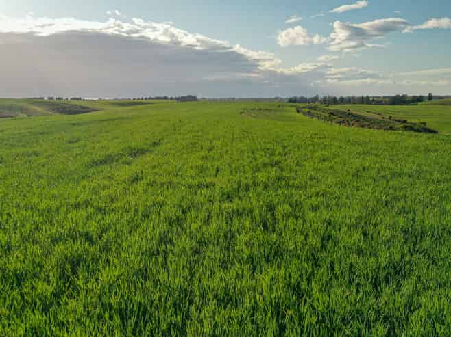 Lot 3 Hook School Road, Makikihi