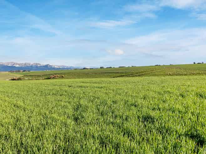 Lot 3 Hook School Road, Makikihi