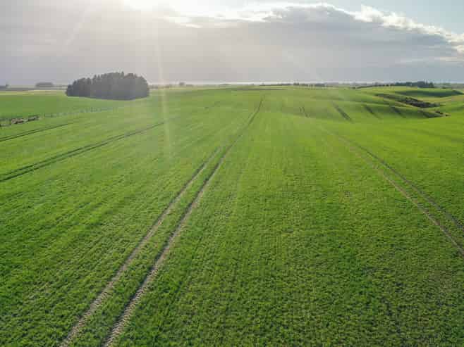 Lot 3 Hook School Road, Makikihi